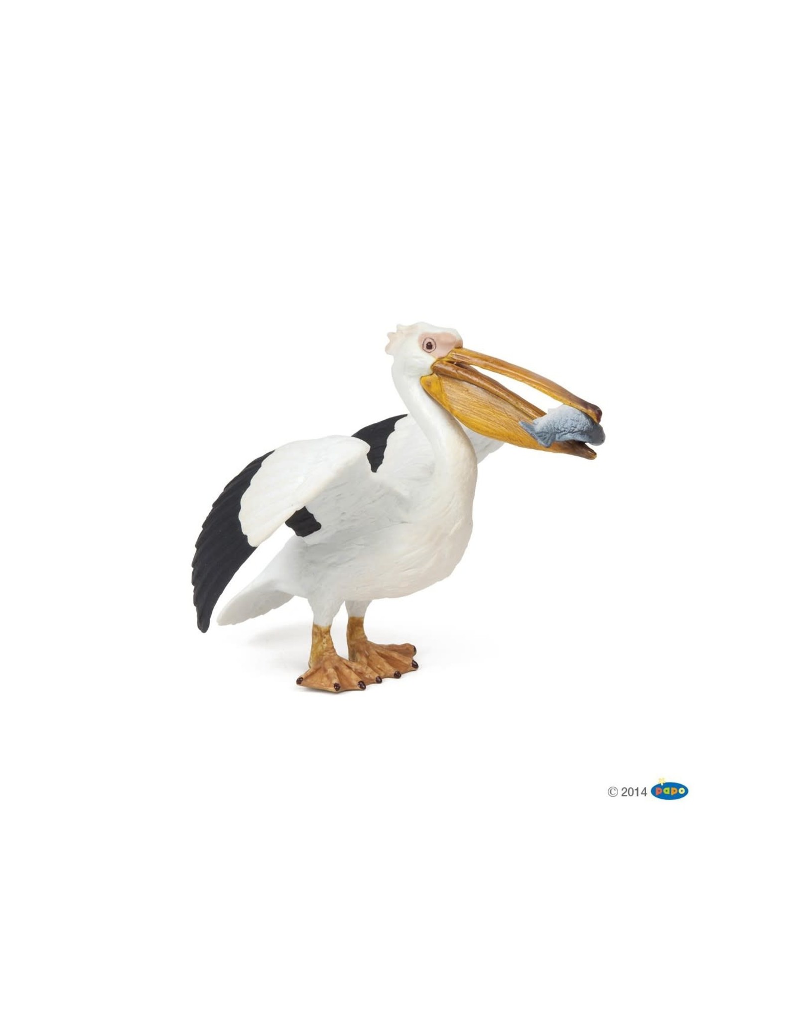 Hotaling PAPO: Pelican