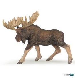 Hotaling PAPO: Moose
