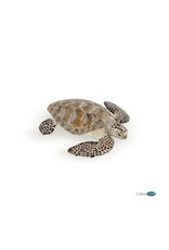 Papo PAPO: Loggerhead Turtle