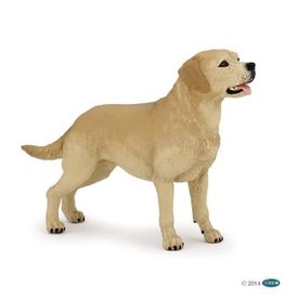Hotaling PAPO: Labrador Retriever
