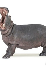 Hotaling PAPO: Hippopotamus
