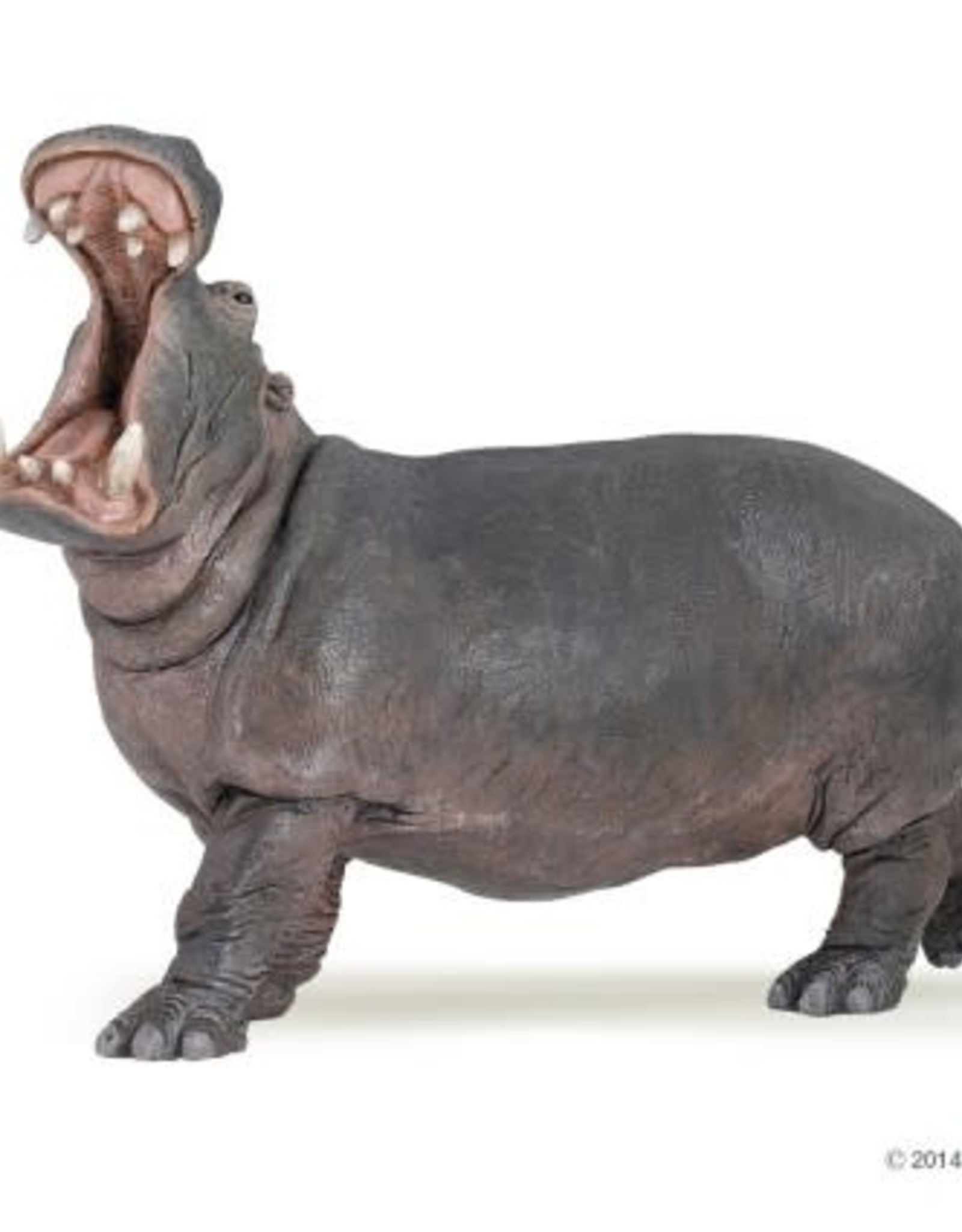 Papo PAPO: Hippopotamus