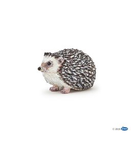 Hotaling PAPO: Hedgehog