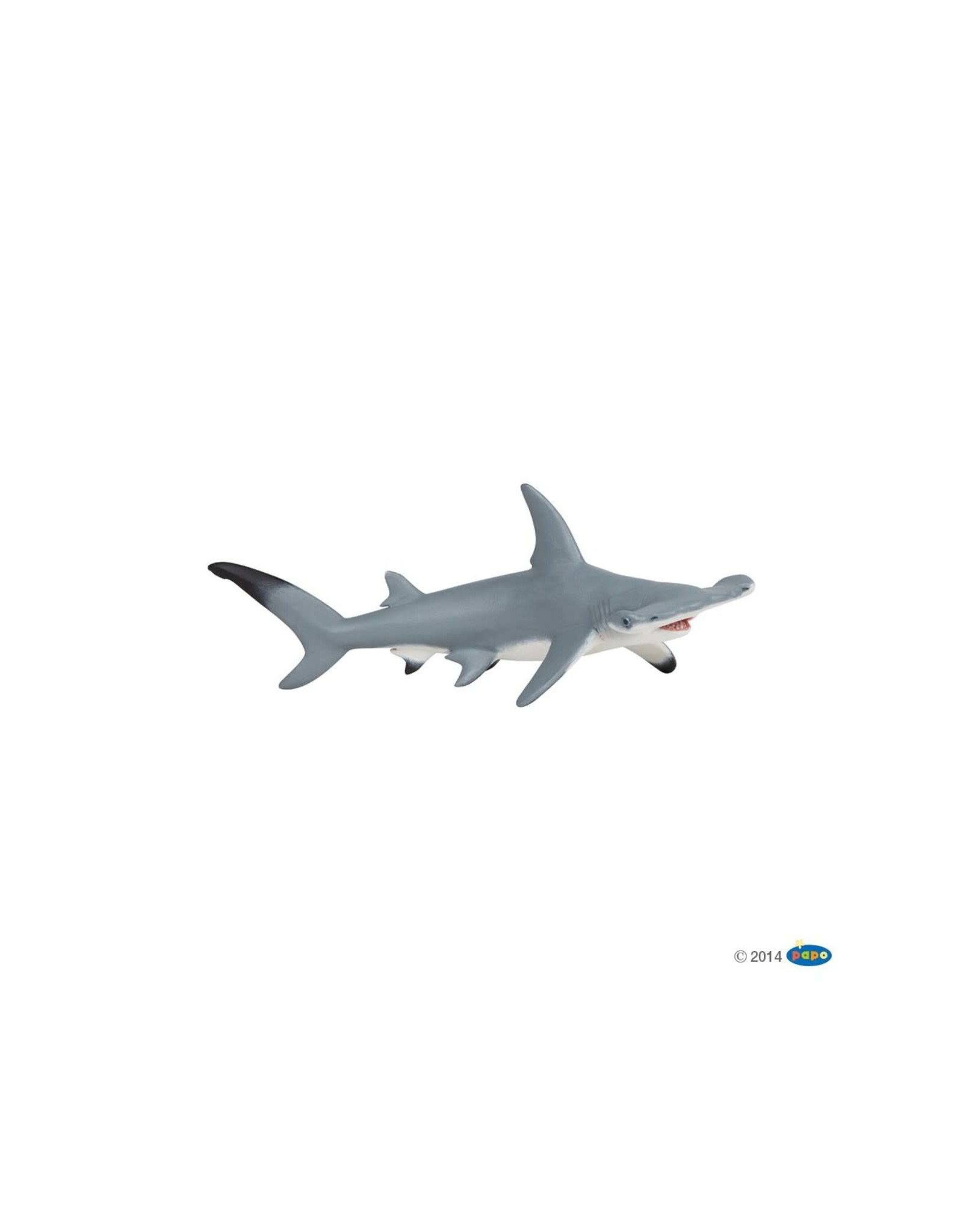 Hotaling PAPO: Hammerhead Shark