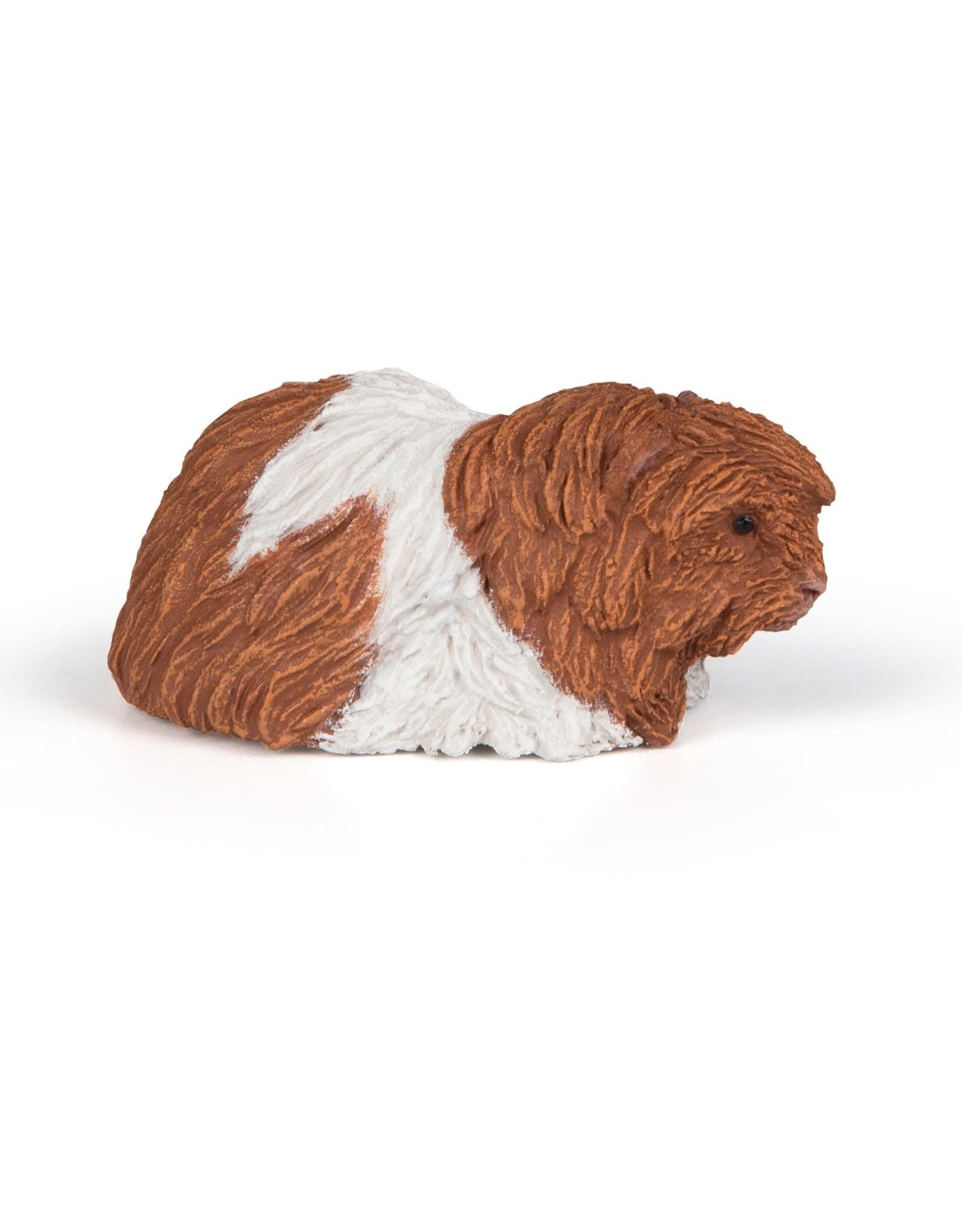 Papo PAPO: Guinea Pig