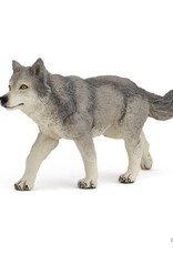 Hotaling PAPO: Grey Wolf