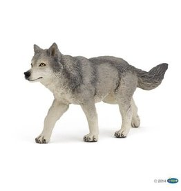 Hotaling PAPO: Grey Wolf