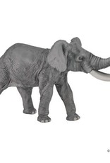 Hotaling PAPO: Elephant