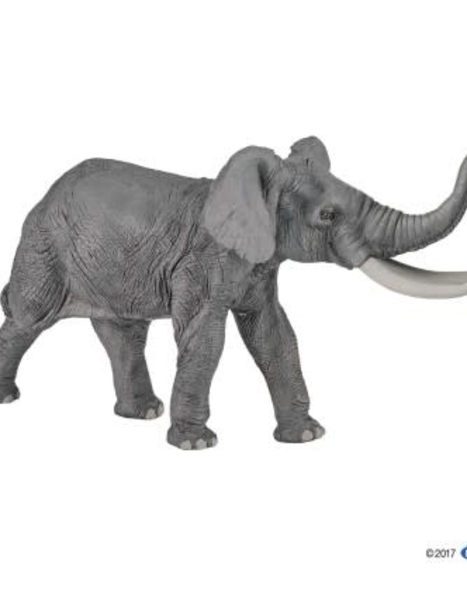 Hotaling PAPO: Elephant