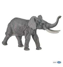 Hotaling PAPO: Elephant