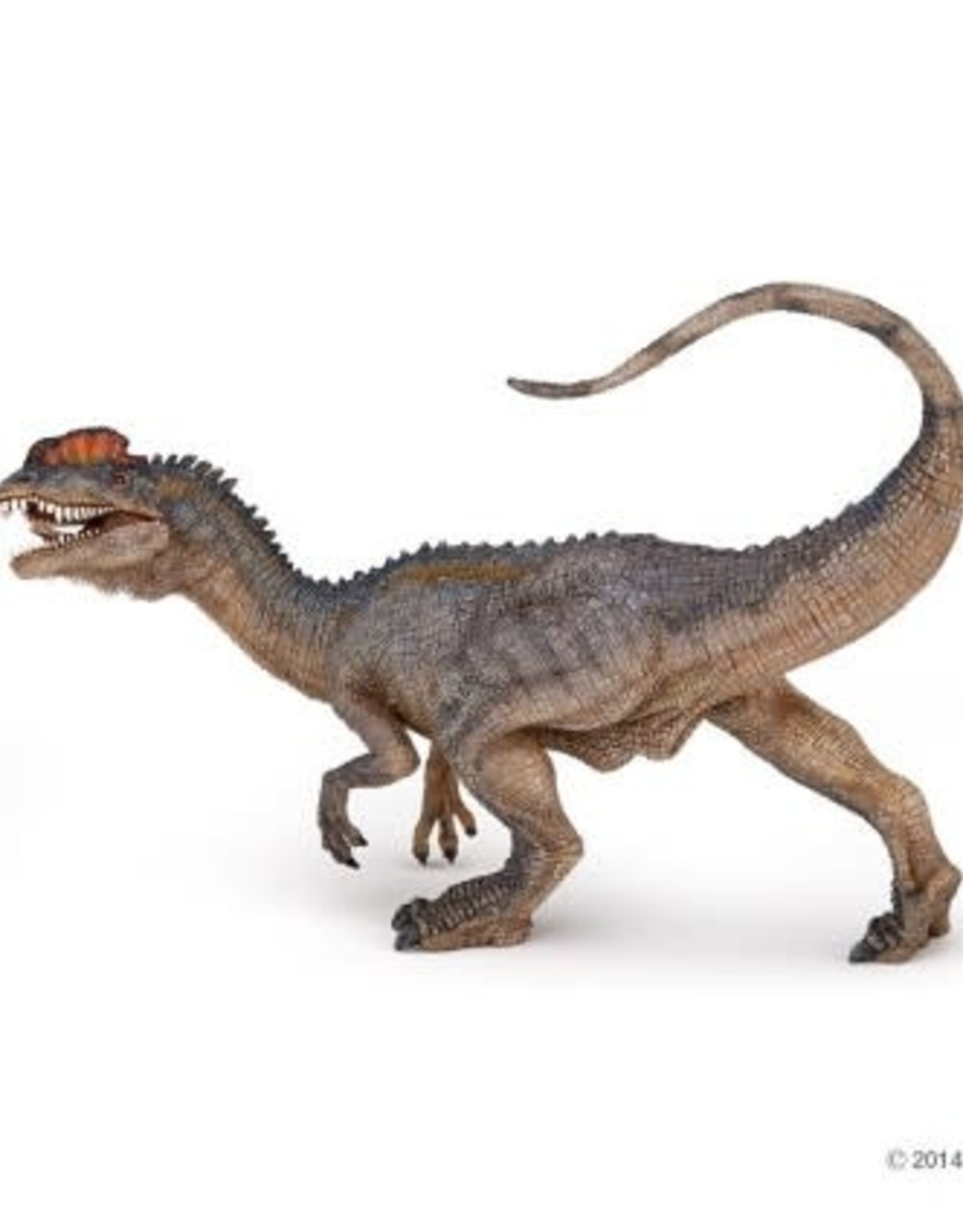Hotaling PAPO: Dilophosaurus