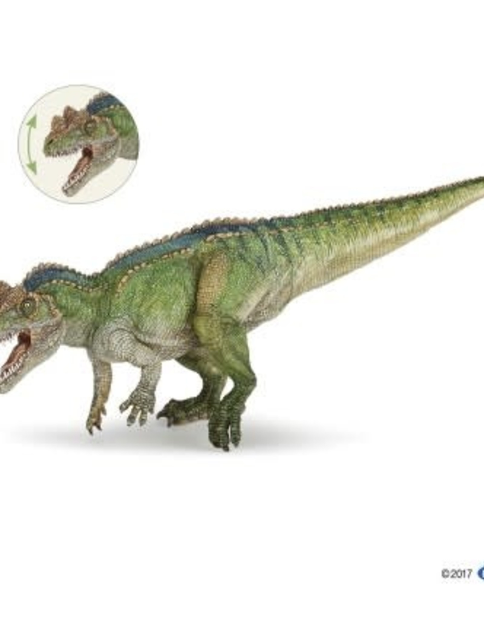 Hotaling PAPO: Ceratosaurus