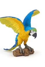 Hotaling PAPO: Blue Ara Parrot