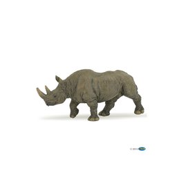 Hotaling PAPO: Black Rhinoceros