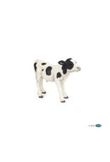 Hotaling PAPO: Black and White Calf