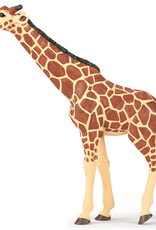 Papo PAPO: Giraffe Head Up