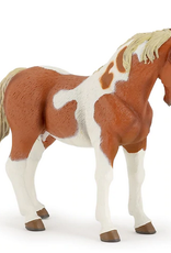 Papo PAPO: Pinto Mare