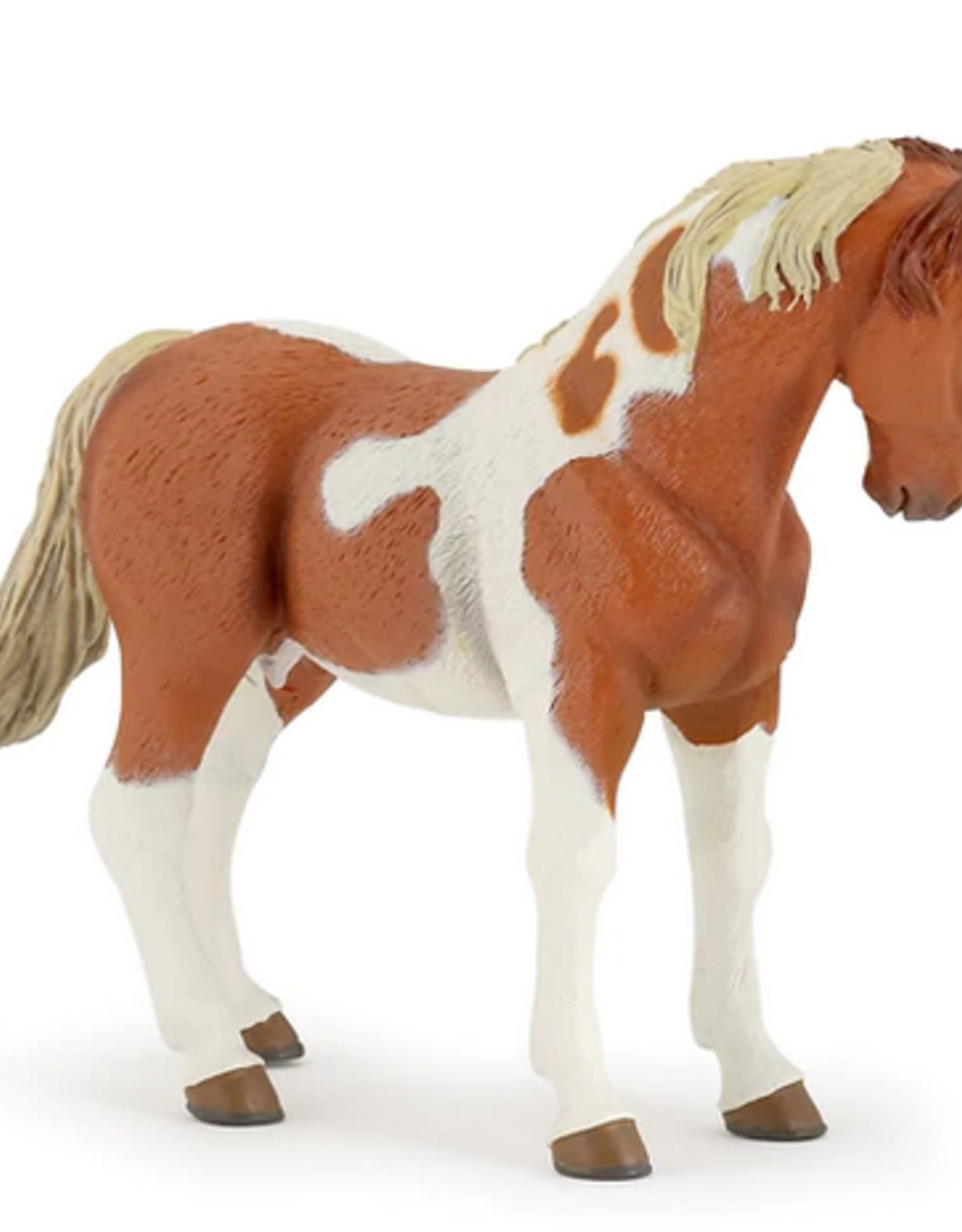 Papo PAPO: Pinto Mare