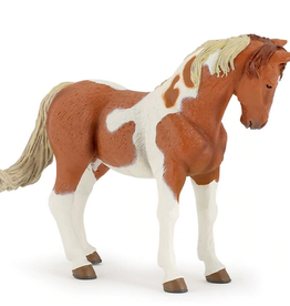 Papo PAPO: Pinto Mare