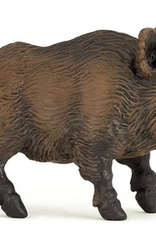 Hotaling PAPO: Wild Boar