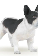 Hotaling PAPO: French Black And White  Bulldog