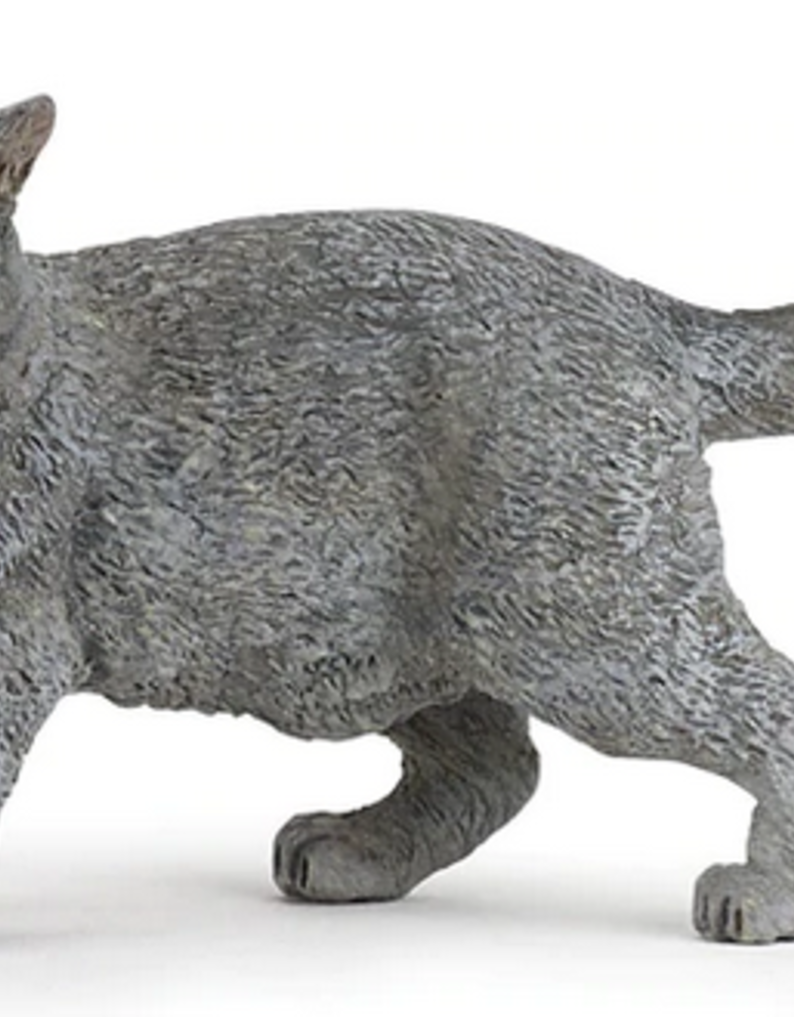 Papo PAPO: Chartreux