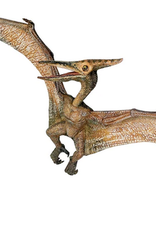 Hotaling PAPO: Pteranodon