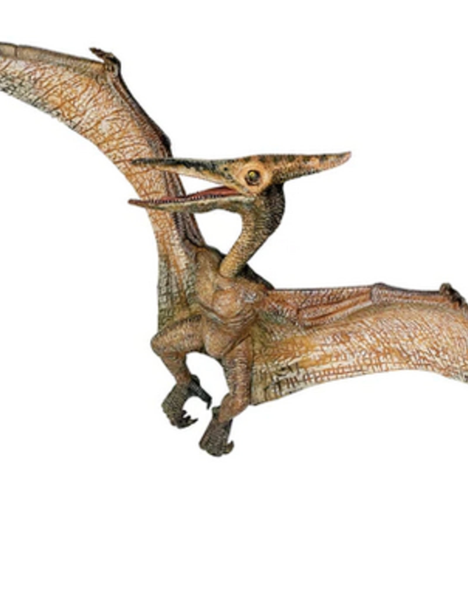 Papo PAPO: Pteranodon