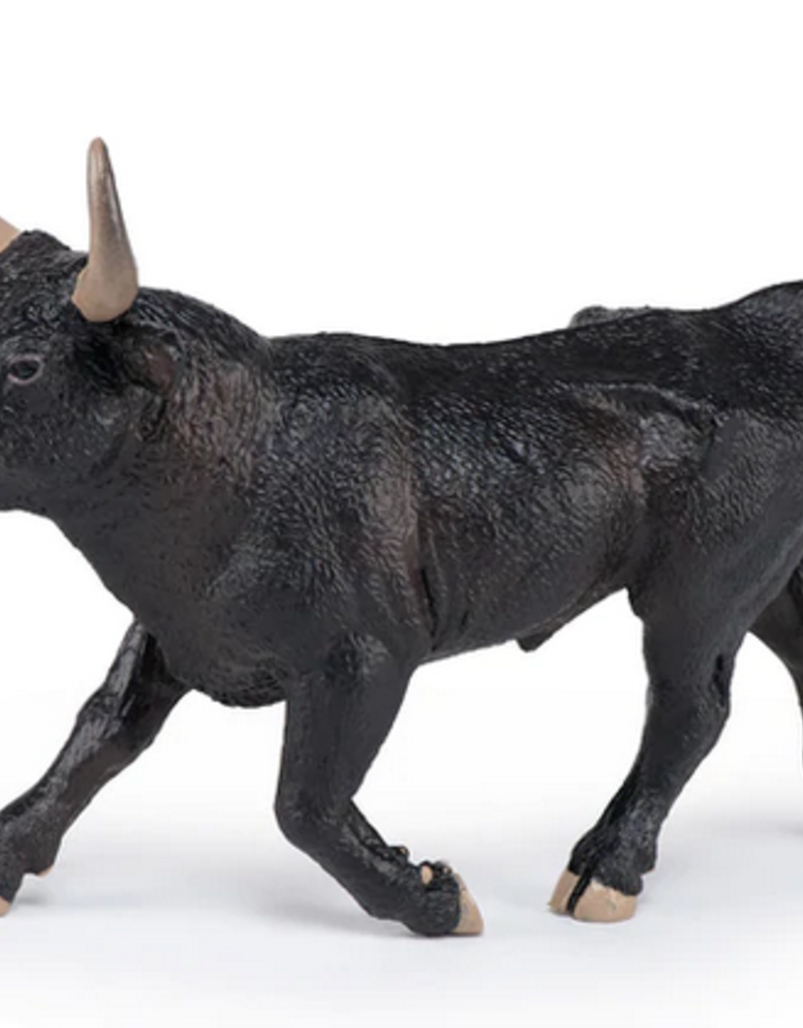 Hotaling PAPO: Camargue Bull