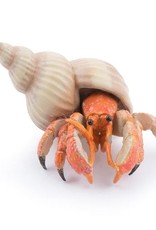 Papo PAPO: Hermit Crab