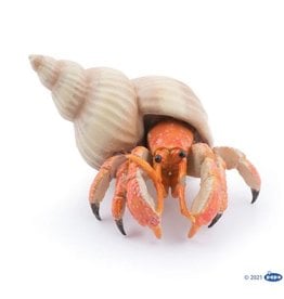 Hotaling PAPO: Hermit Crab