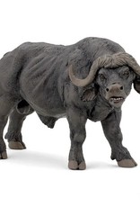Hotaling PAPO: African Buffalo