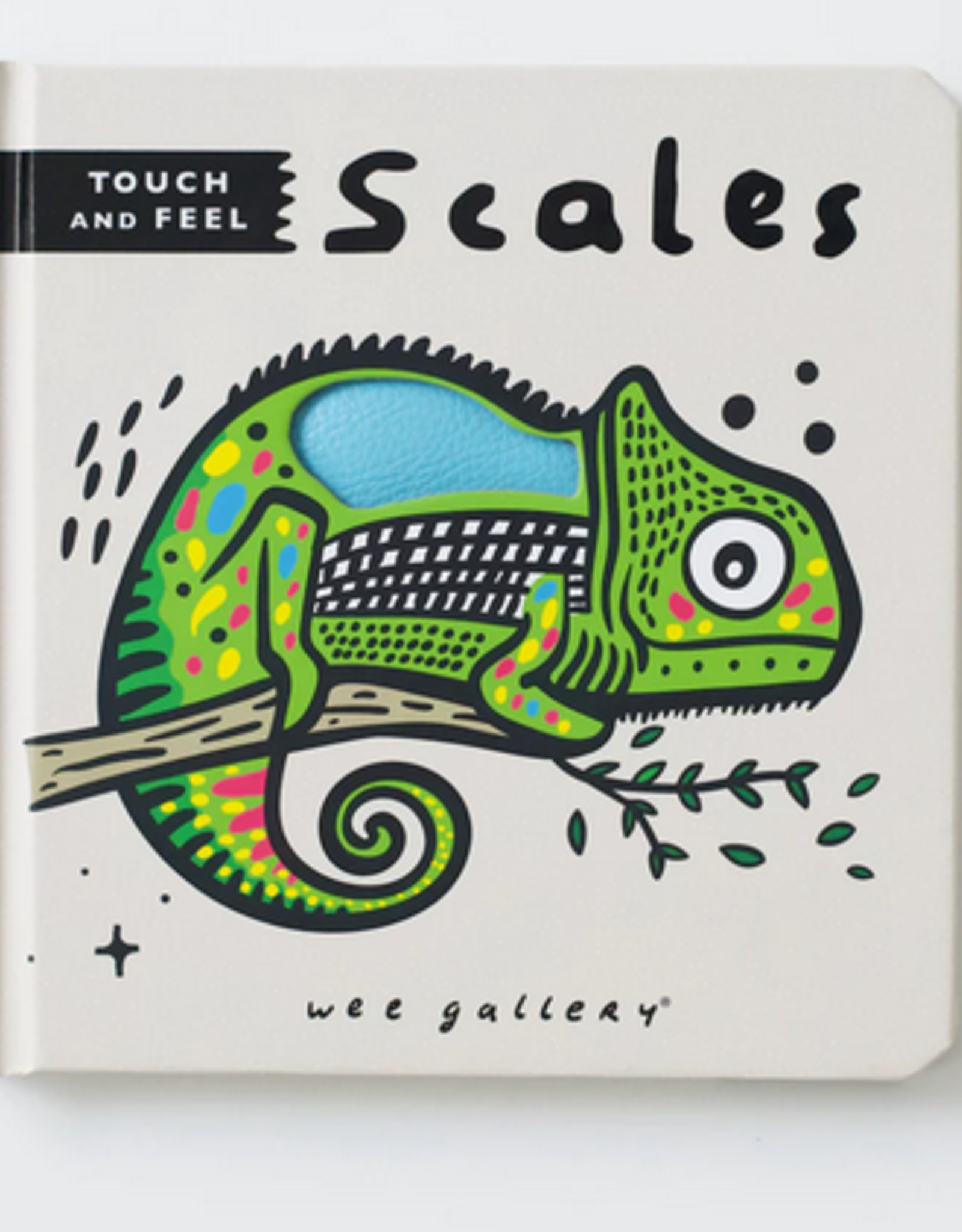 Quarto Wee Gallery Touch and Feel: Scales