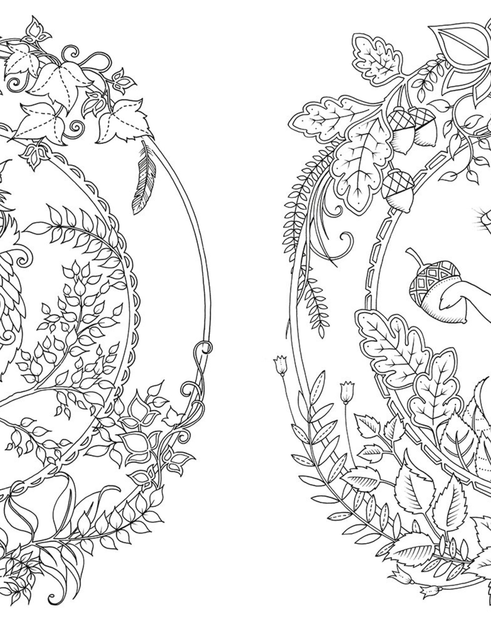 Chronicle Books Enchanted Forest Coloring Book