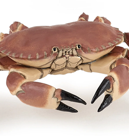 Hotaling PAPO: Crab