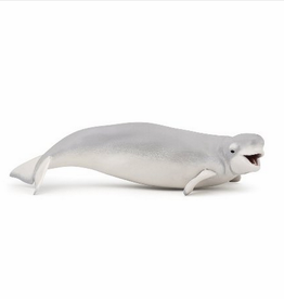Hotaling PAPO: BELUGA WHALE