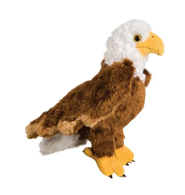Douglas Colbert Eagle