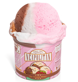 Kawaii Slime Company Neapolitan Scented Ice Cream Pint Slime
