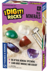Thames & Kosmos I Dig It! Real Minerals Excavation