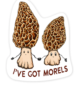 Nice Enough Stickers Sticker: Morels
