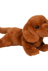 Douglas Dachshund, Delanie