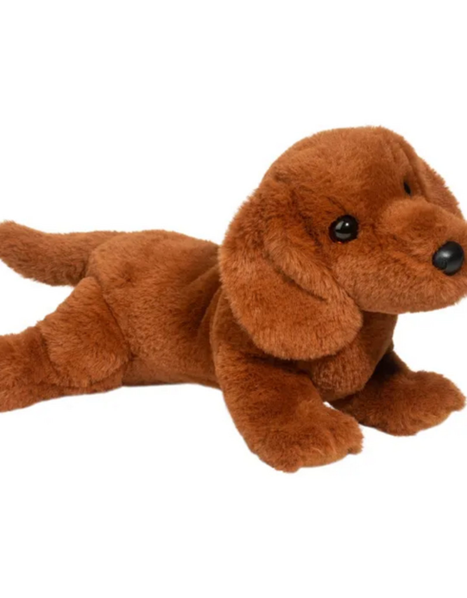 Douglas Dachshund, Delanie