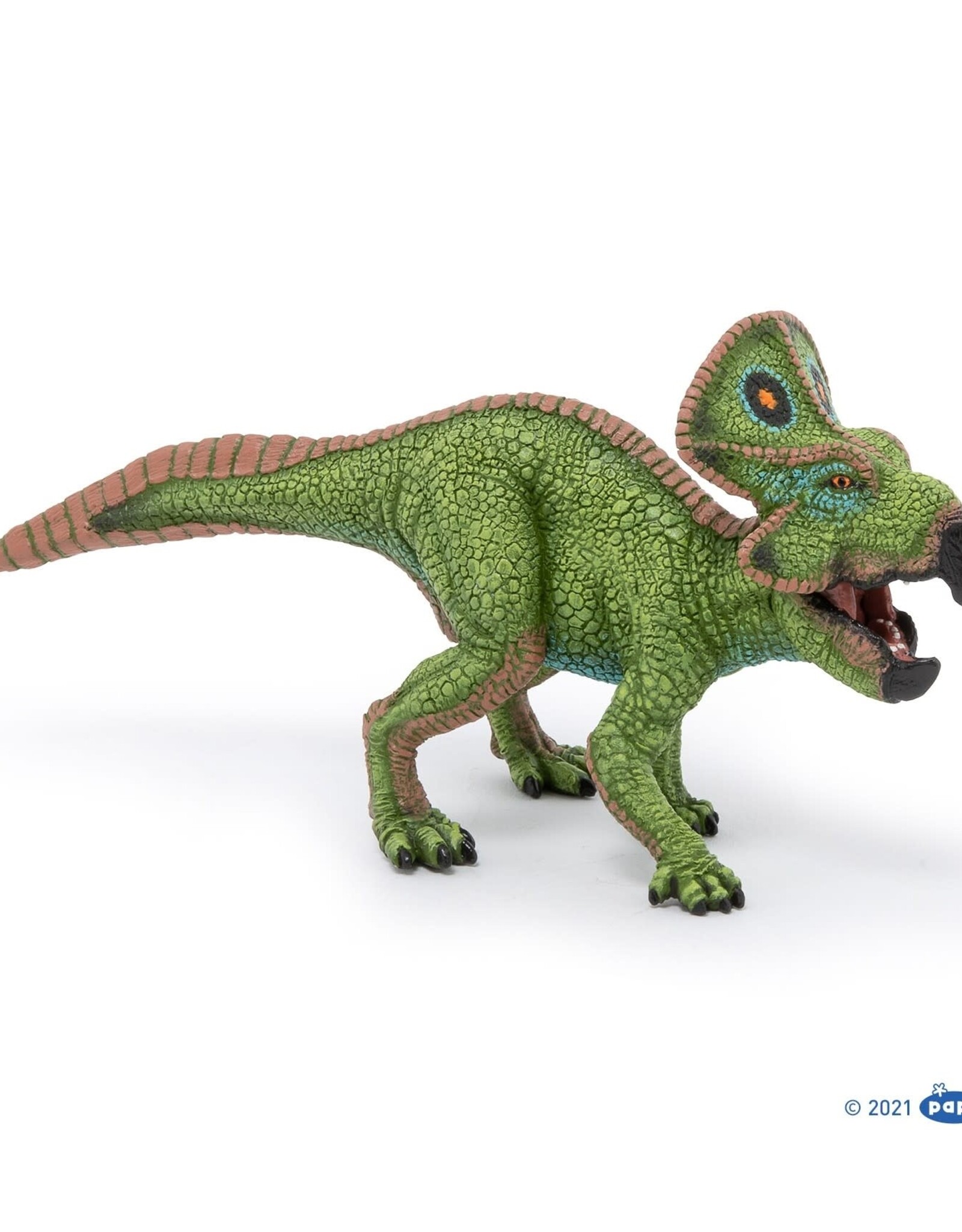 Papo Papo: PROTOCERATOPS