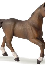 Papo PAPO: Anglo-Arab Mare