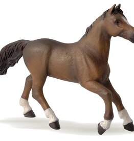 Papo PAPO: Anglo-Arab Mare