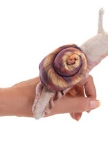 Folkmanis Finger Puppet: Snail