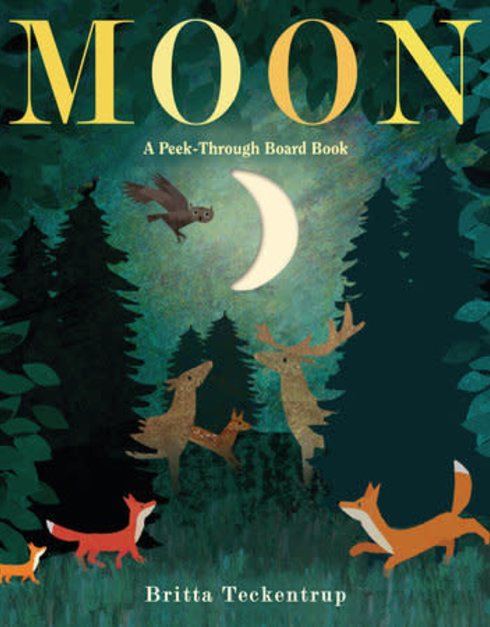 Penguin Random House Moon: A Peek-Through BRD