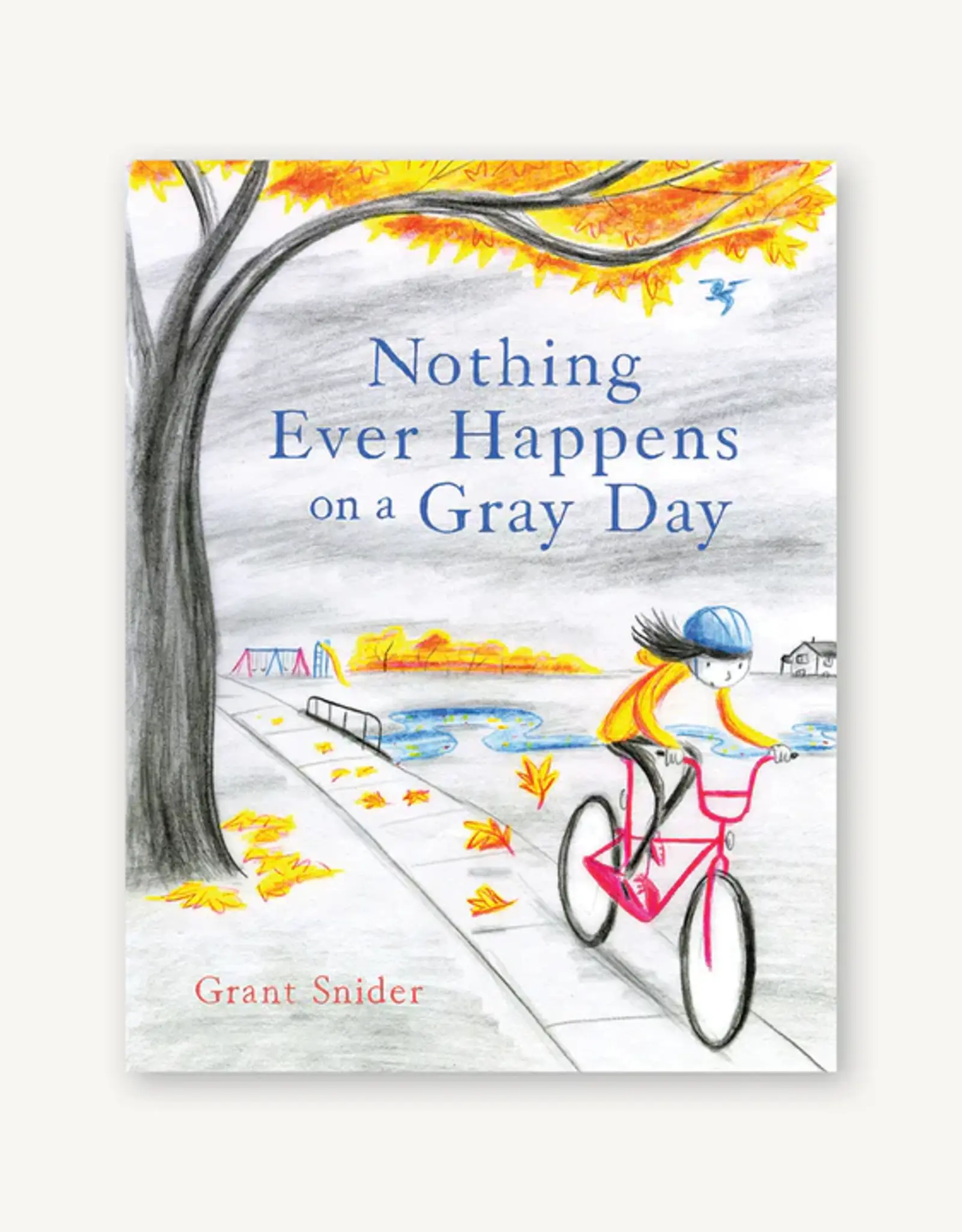 Chronicle Books Nothing Ever Happens on a Gray Day