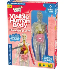 Thames & Kosmos OOZE Labs: Visible Human Body