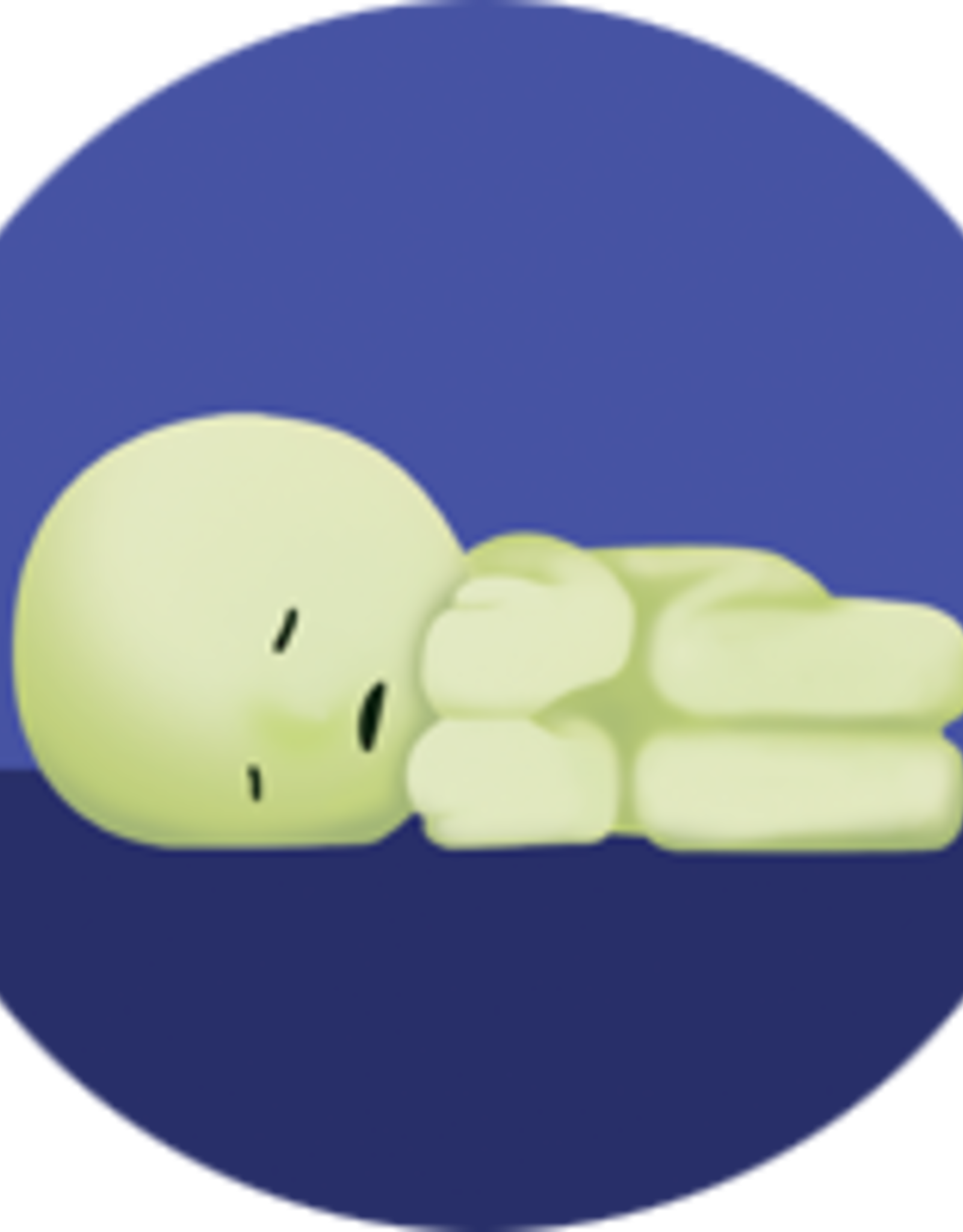 Dreams Smiski Bed Series